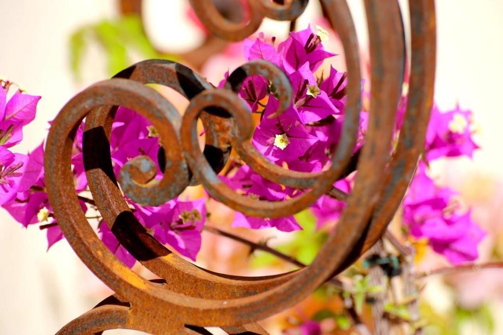 مبيت وإفطار Noves Mas De Mariette المظهر الخارجي الصورة